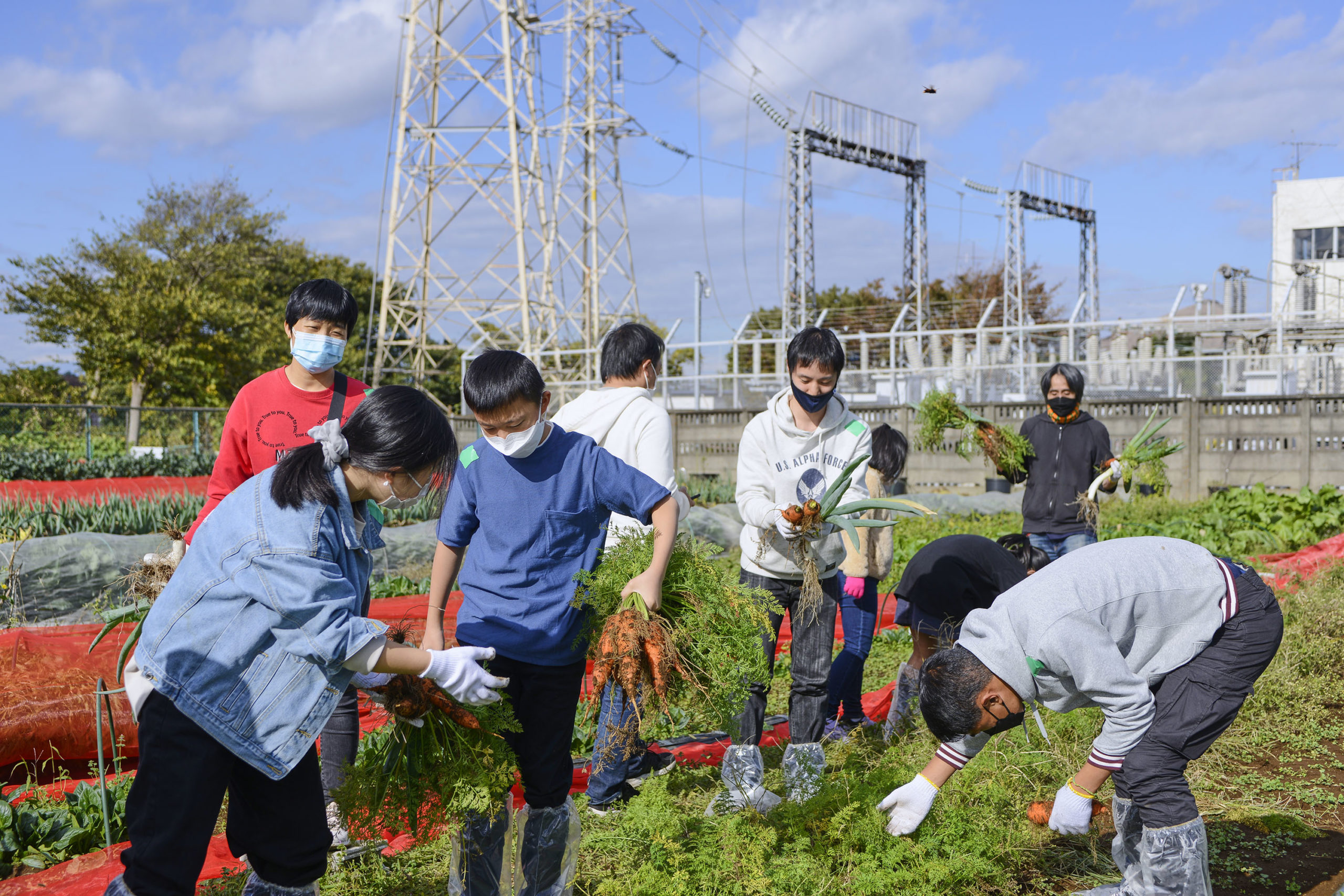 多文化遠足農業体験 Photo: 福田依子