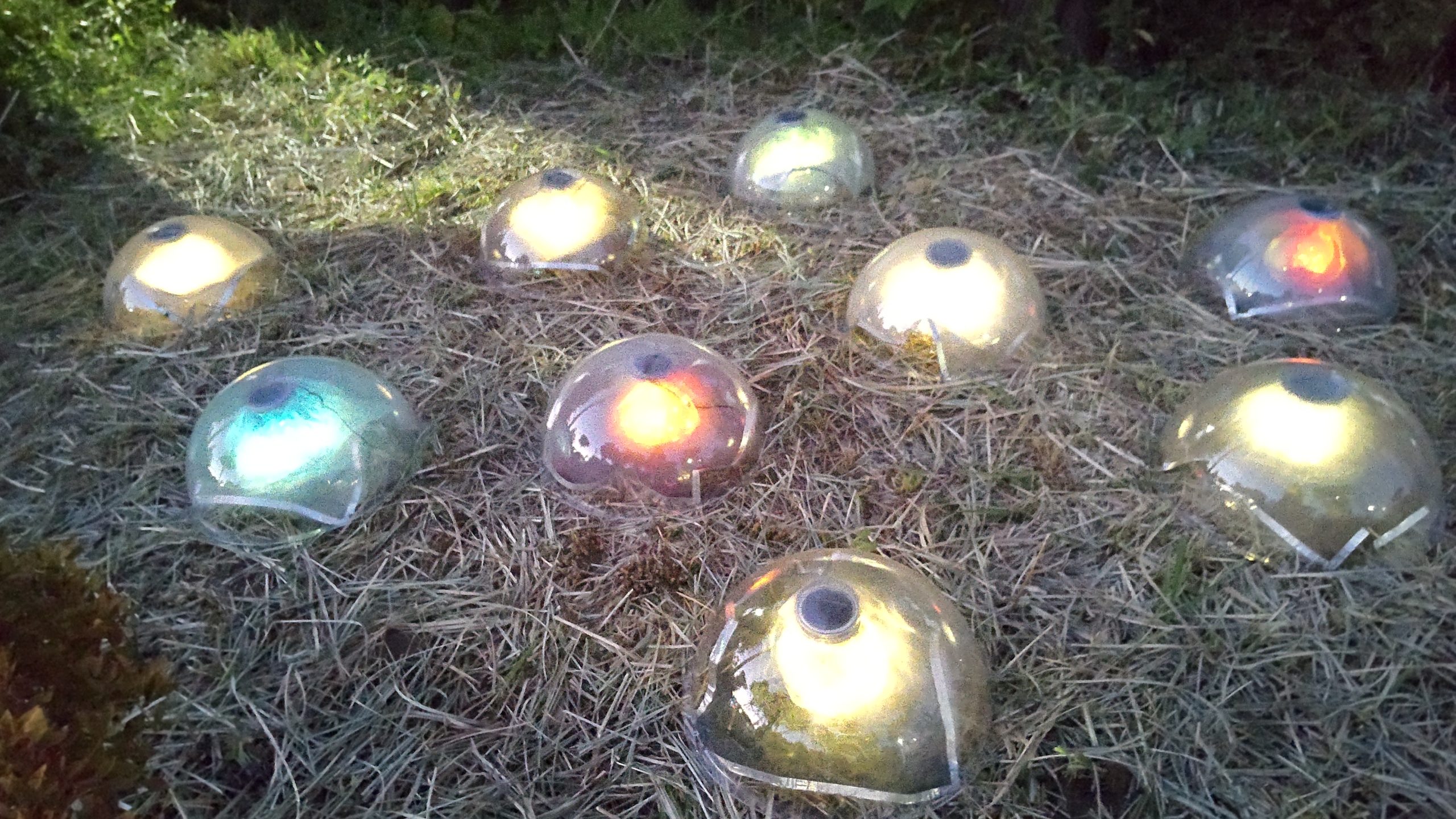 片岡 操｢TIME CAPSULE 2023 ー木の実ー｣