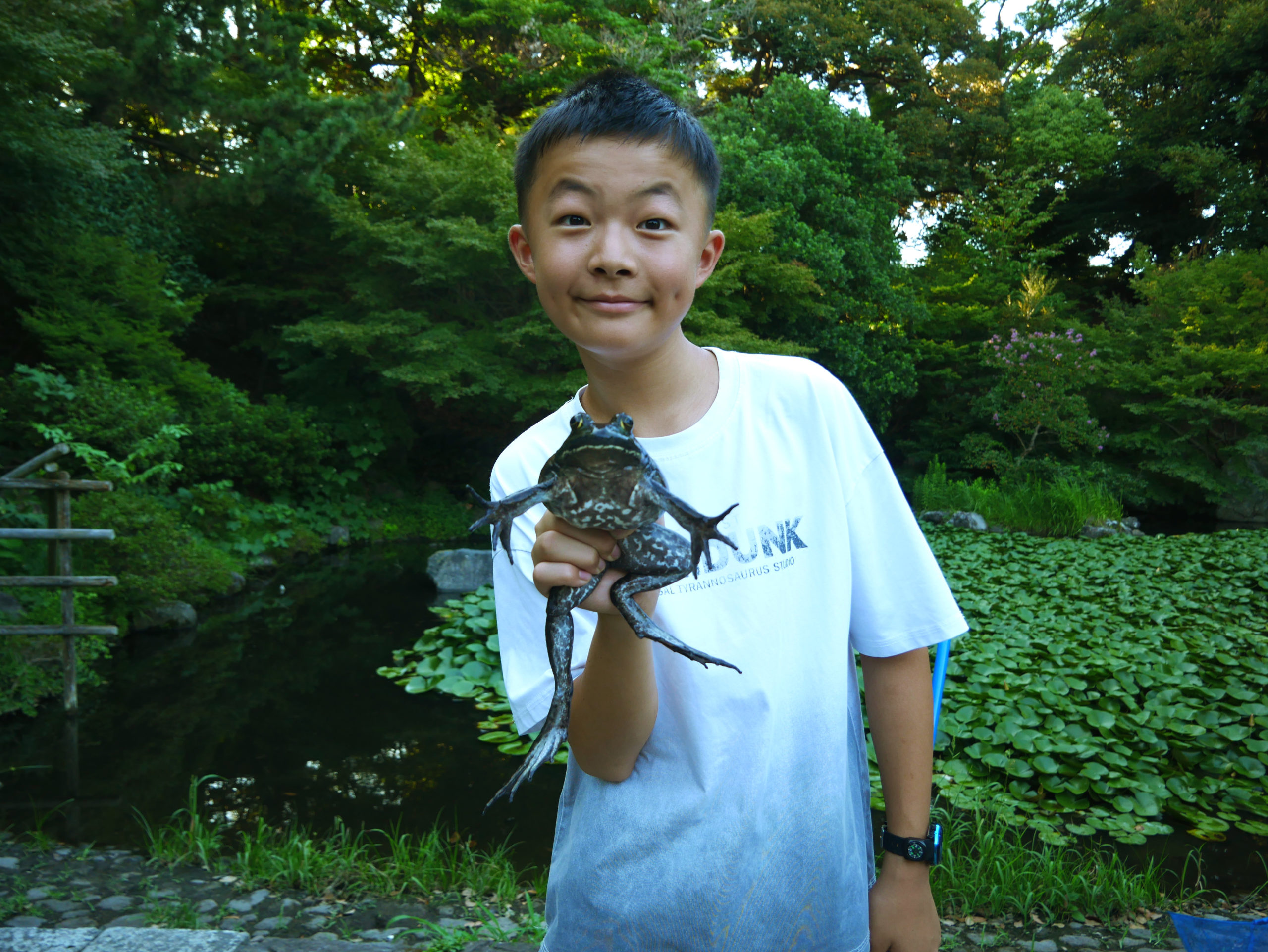 魚100匹プロジェクト