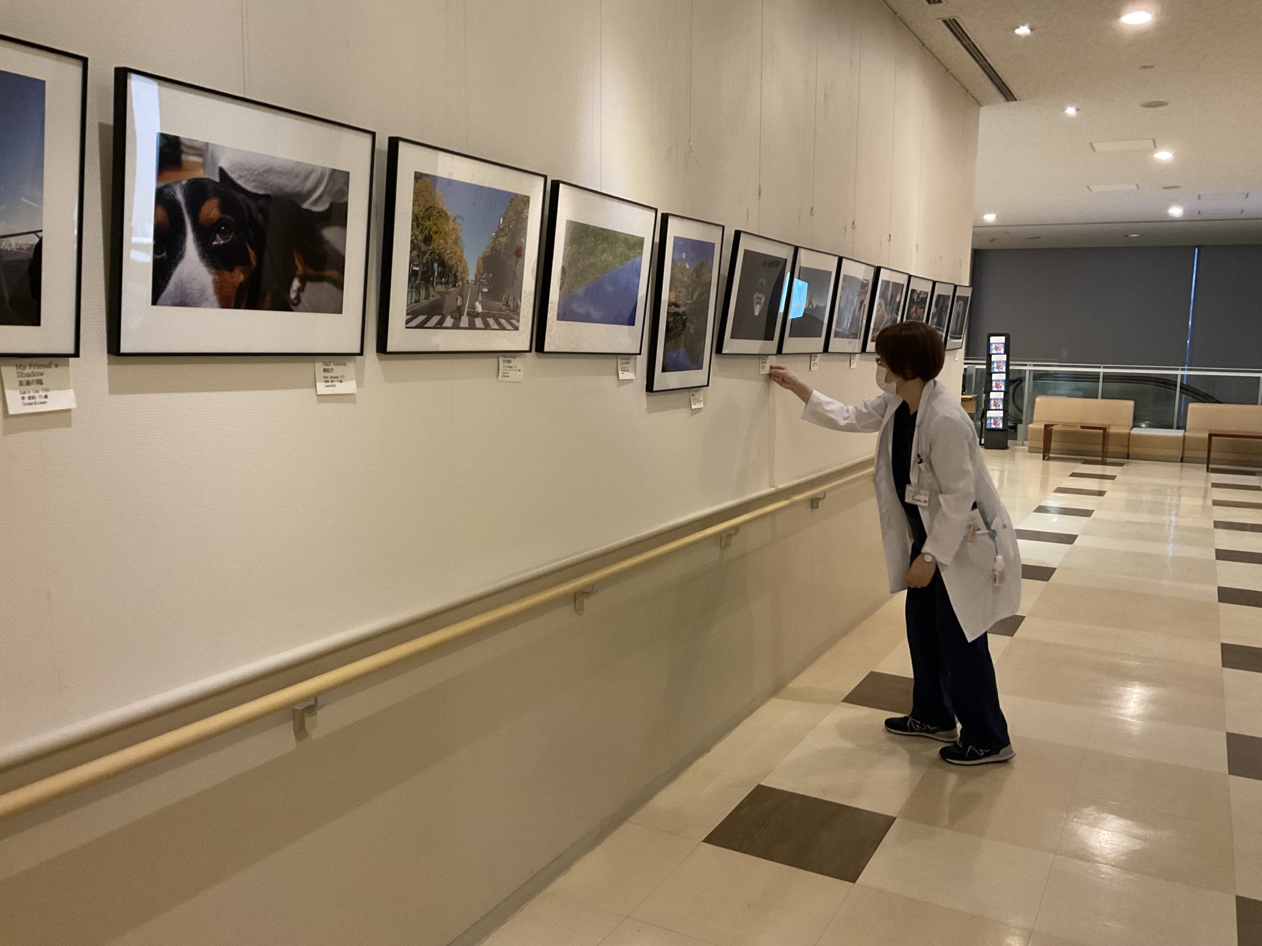 2022年度作品展示設営の様子、済生会横浜東部病院 Photo: 大藪順子